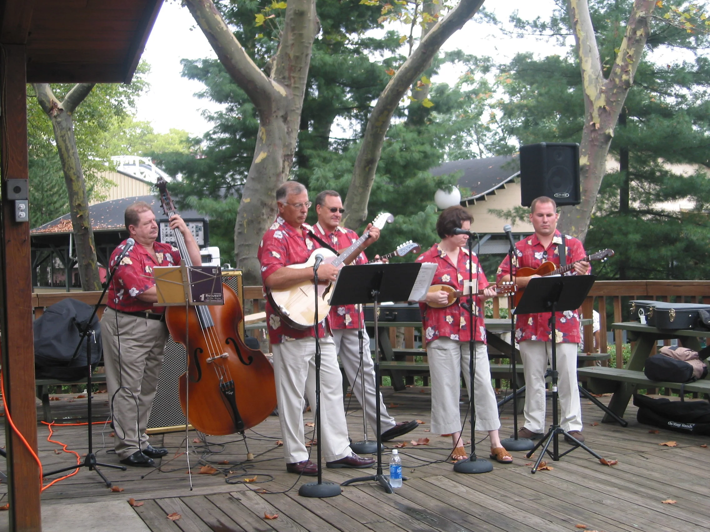 Struna band image